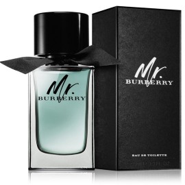 Burberry Mr. Burberry Perfume For Men EDT 100ml