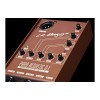 LR Baggs Para DI Acoustic Preamp 5-band EQ and Direct Box