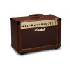 Marshall AS50D Acoustic Combo Amp