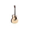 Martin Guitar GPC-16E Mahogany Grand Performance Acoustic-Electric Guitar - Natural - Martin Gig Bag Included