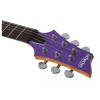 Schecter Electric Guitar C-6 Deluxe - Satin Purple