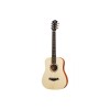 Taylor guitar Baby Semi Acoustic - Includes Taylor Gig Bag