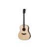 Taylor Guitar Custom GP Indian Rosewood AA Adirondack Spruce - Includes Western Floral Taylor Deluxe Hard Shell Case