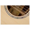 Taylor Guitar Custom GP Indian Rosewood AA Adirondack Spruce - Includes Western Floral Taylor Deluxe Hard Shell Case