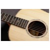 Taylor Guitar Custom GP Indian Rosewood AA Adirondack Spruce - Includes Western Floral Taylor Deluxe Hard Shell Case