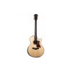 Taylor guitar Presentation Series PS14ce Deluxe Grand Auditorium - Natural Adirondack Spruce - Includes Taylor Deluxe Hardshell Brown