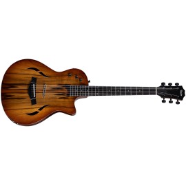 Taylor Guitar T5z Classic Sassafras Holl..