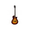 Taylor Guitar T5z Standard Acoustic Electric - Tobacco Sunburst - Include Taylor Hard Shell Case