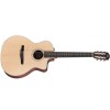 Taylor 214ce-N Nylon Acoustic-Electric Guitar - Natural - Includes Taylor Gig Bag