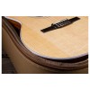 Taylor 214ce-N Nylon Acoustic-Electric Guitar - Natural - Includes Taylor Gig Bag