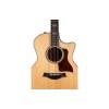 Taylor 614ce - Brown Sugar Stain with V-Class Bracing Guitar - Grand Auditorium - Includes Taylor Deluxe Hardshell Brown