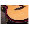 Taylor 614ce - Brown Sugar Stain with V-Class Bracing Guitar - Grand Auditorium - Includes Taylor Deluxe Hardshell Brown