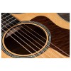 Taylor 614ce - Brown Sugar Stain with V-Class Bracing Guitar - Grand Auditorium - Includes Taylor Deluxe Hardshell Brown