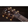 Taylor 816ce Builder's Edition - Natural - Includes Western Floral Hardshell Case