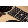 Taylor 816ce Builder's Edition - Natural - Includes Western Floral Hardshell Case