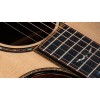 Taylor Guitar 914ce With V-Class Bracing Natural - Includes Taylor Deluxe Hardshell Brown