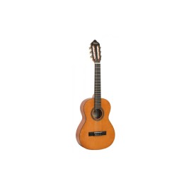 Valencia Classical Guitar VC202 - Natura..