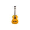 Valencia Classical Guitar VC204H Hybrid Series - Antique Natural - Includes Free Softcase