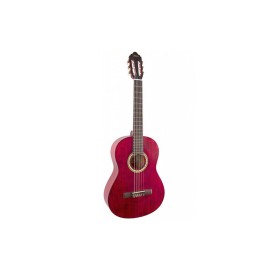 Valencia Classical Guitar Transparent Wi..