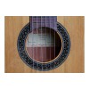 Alhambra Classic guitar 1 C HT (Hybrid Terra) - Includes Al Hambra Soft Shell Case