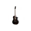 Carlos Acoustic Guitar C901 - Black - Include Free Soft Case