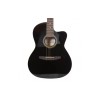 Carlos Acoustic Guitar C901 - Black - Include Free Soft Case