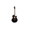 Carlos F511ce Semi-Acoustic Guitar - Black - Include Free Softace