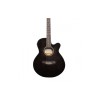 Carlos F511ce Semi-Acoustic Guitar - Black - Include Free Softace