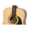 Epiphone Guitar Acoustic DR-100 Natural Any of 2 Packs Strings, 3pcs Alice Picks, Includes Hardshell Case