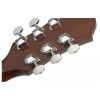 Epiphone Guitar Acoustic DR-100 Natural Any of 2 Packs Strings, 3pcs Alice Picks, Includes Hardshell Case