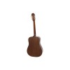 Epiphone Guitar Acoustic DR-100 Natural Any of 2 Packs Strings, 3pcs Alice Picks, Includes Hardshell Case