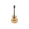 Epiphone PR-5E Natural Semi-acoustic Guitar - Includes Free Softcase