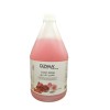 OZMA Clavo Pomegranate & Rose foot Soak Moisturiser Callus Remover Liquid Gel 3.78 L